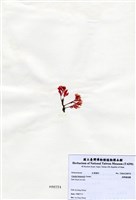 藏品(長柄雀冠藻)的圖片